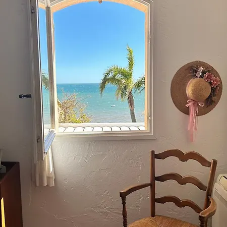 Family Summer Viewseaa
